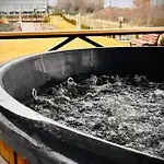 Konukevi касида