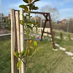 касида 3* Sapareva Banya